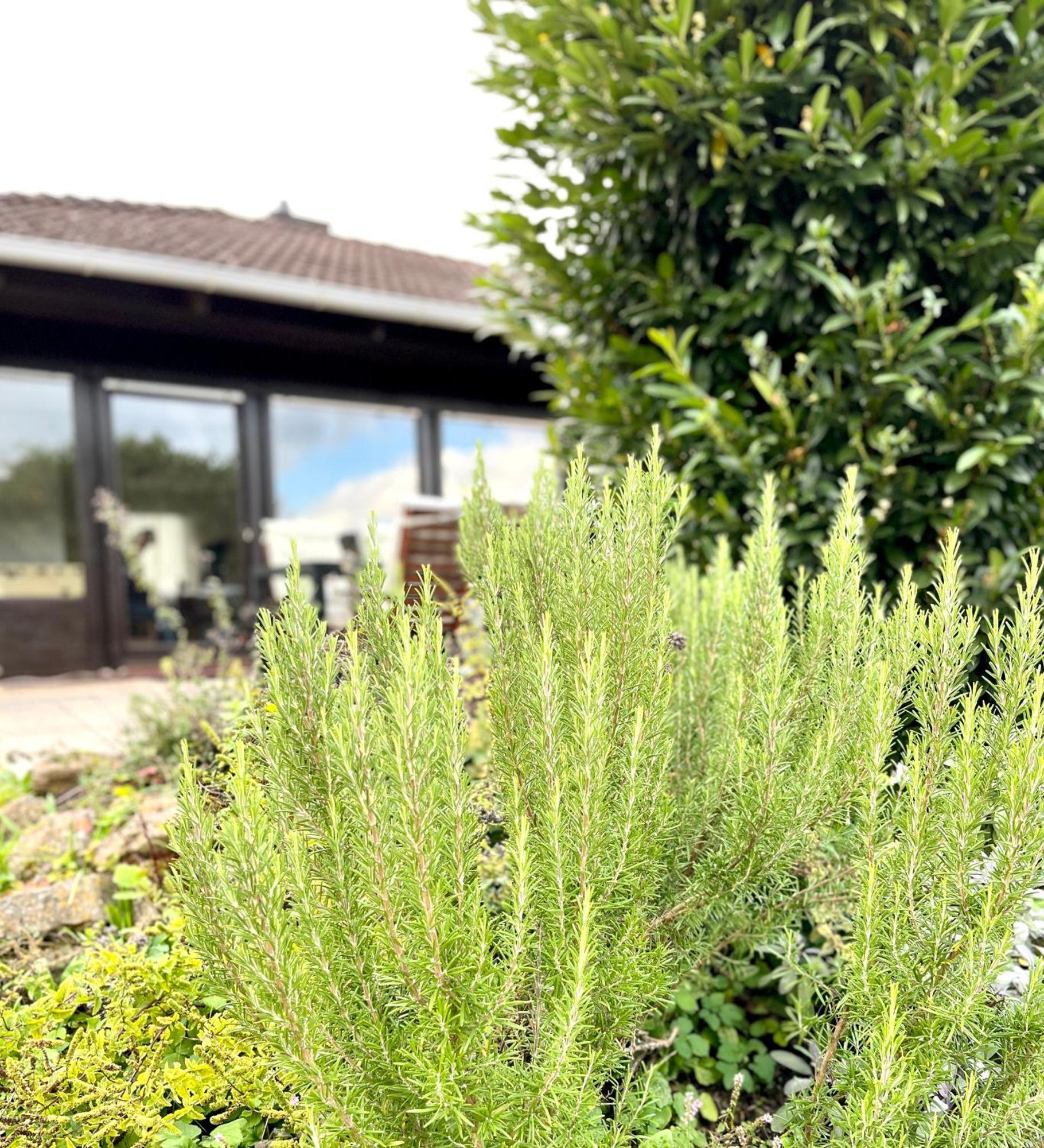 Unterleinach Ferienhaus Weinbergblick - Nahe Wuerzburg - 2 Schlafzimmer - Familienfreundlich - Terrasse מראה חיצוני תמונה