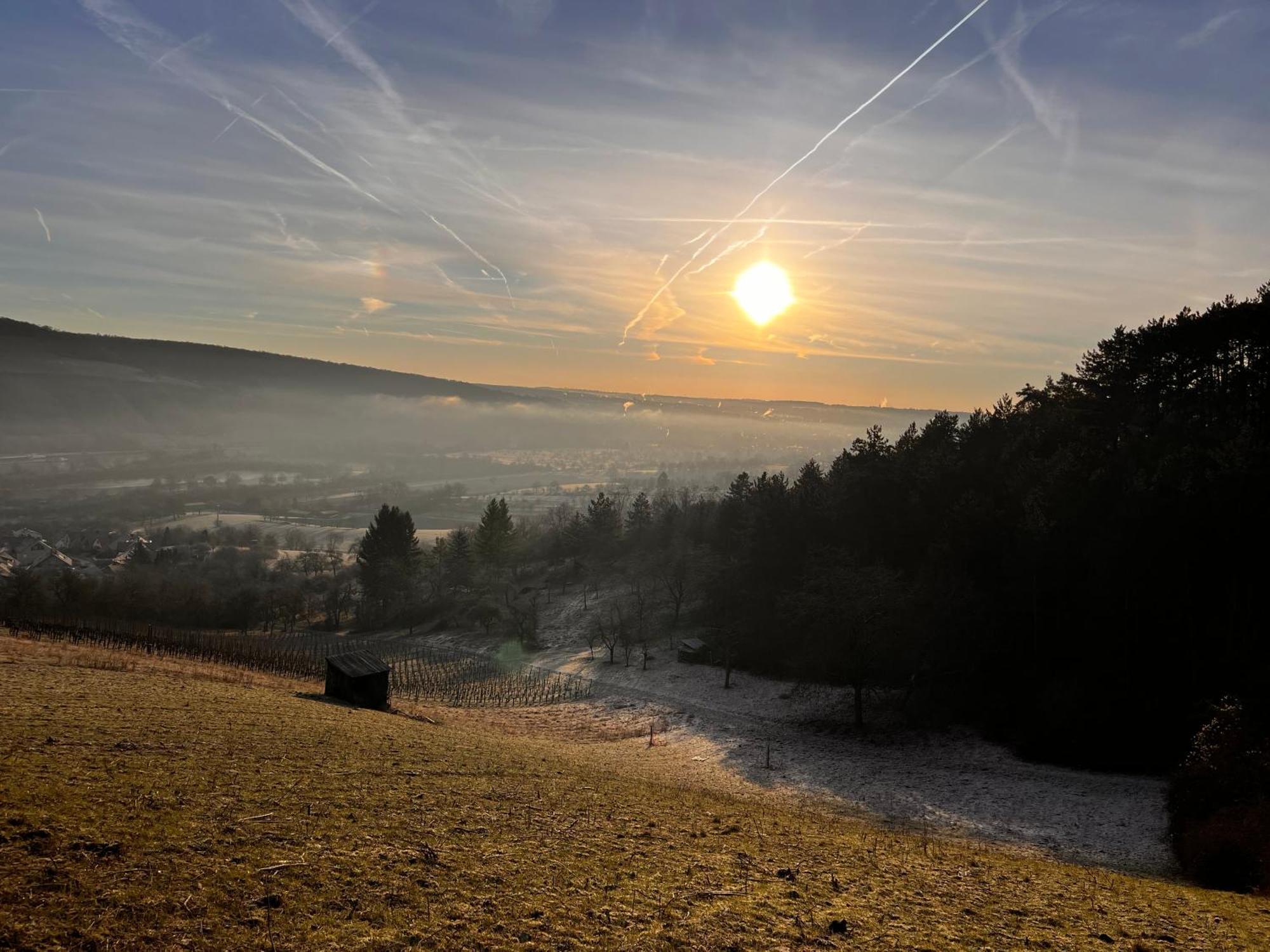 הוילה Unterleinach Ferienhaus Weinbergblick - Nahe Wuerzburg - 2 Schlafzimmer - Familienfreundlich - Terrasse מראה חיצוני תמונה