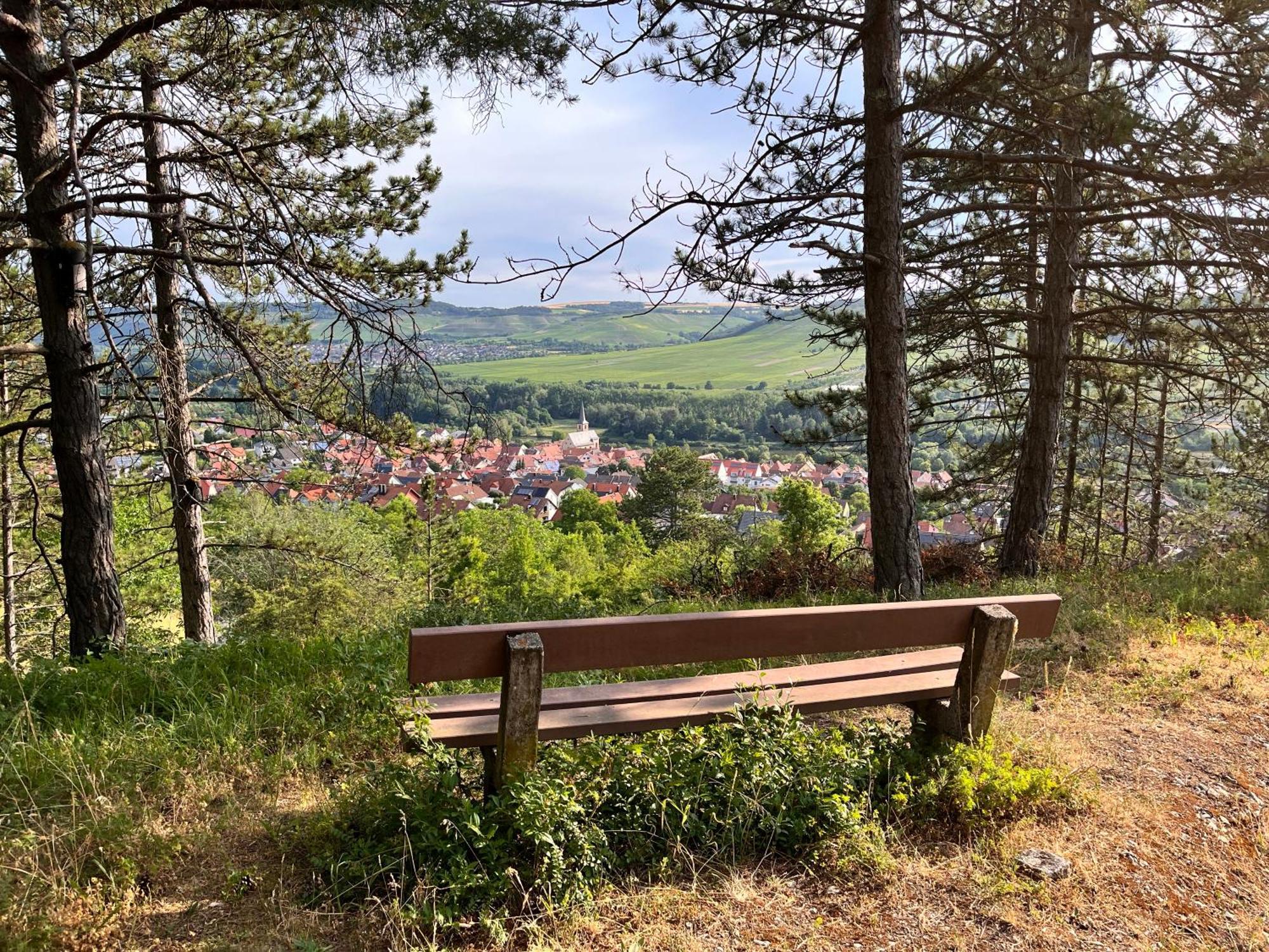Unterleinach Ferienhaus Weinbergblick - Nahe Wuerzburg - 2 Schlafzimmer - Familienfreundlich - Terrasse מראה חיצוני תמונה