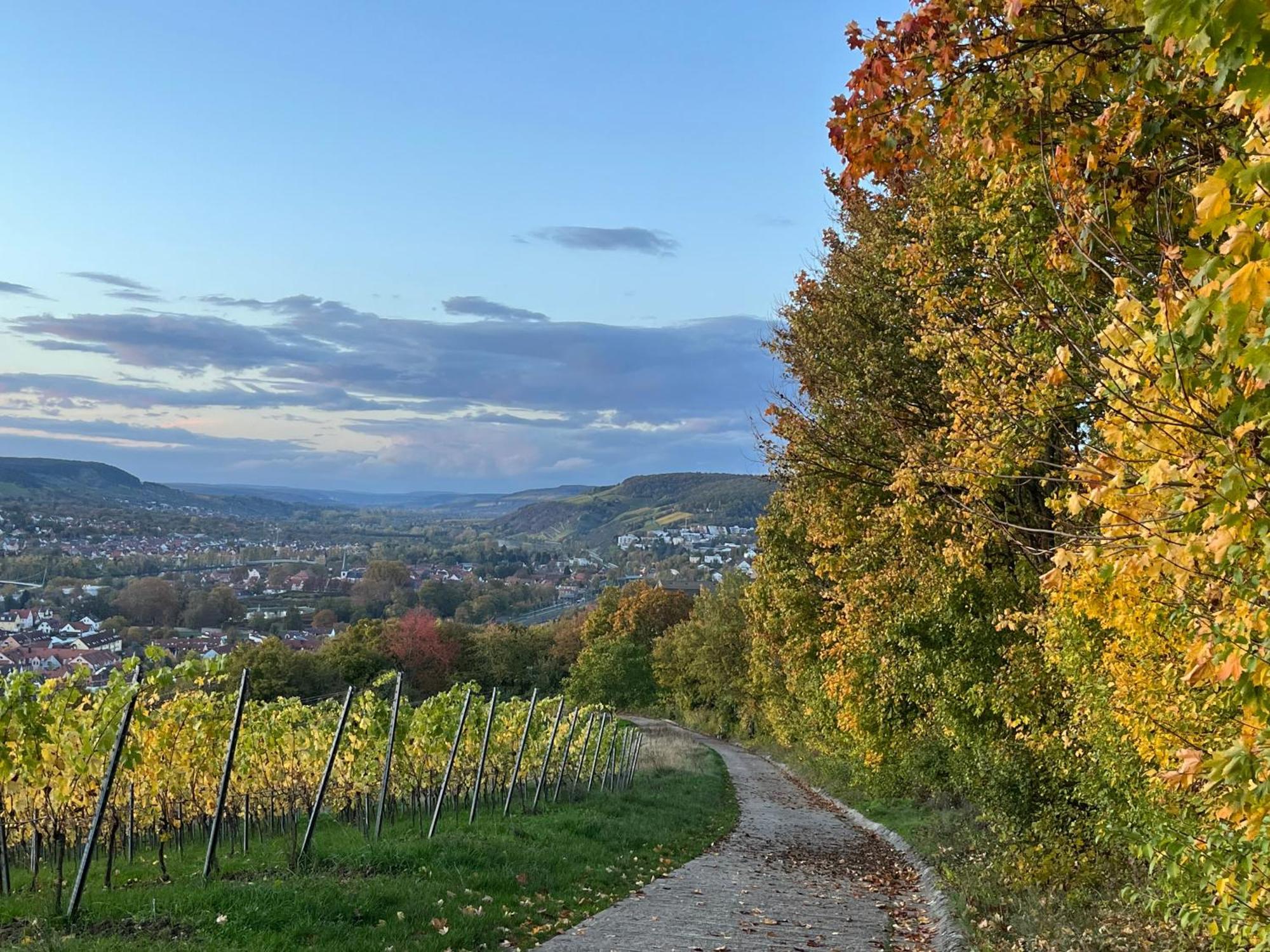 הוילה Unterleinach Ferienhaus Weinbergblick - Nahe Wuerzburg - 2 Schlafzimmer - Familienfreundlich - Terrasse מראה חיצוני תמונה